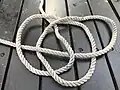 Step three of tying a Celtic Button knot end woven into loops