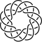 Torus knot