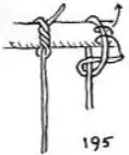 Timber hitch