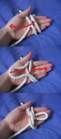 Butterfly loop