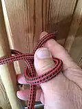 Falconer's  knot 3 : End bight scissored between fingers to thumb loop