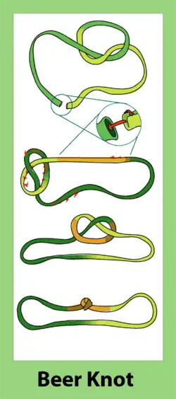 Bend (knot)