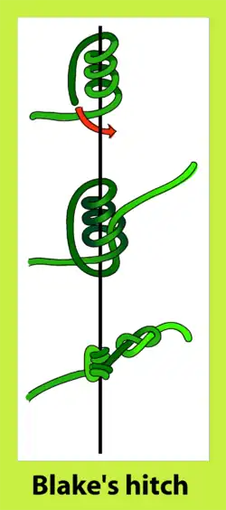 Blake's hitch