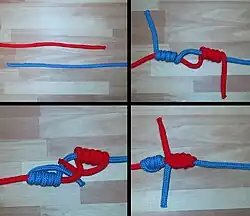 Blood knot