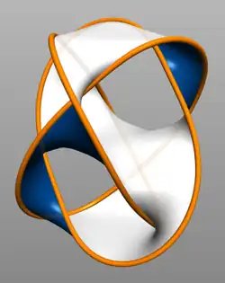 Seifert surface