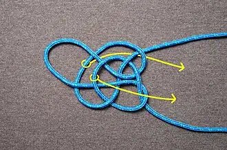 Flipping the knot