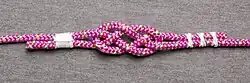 Carrick bend