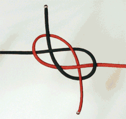 Carrick bend