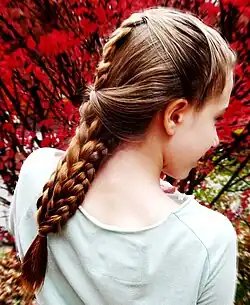 Various braids combined to look like a French and Dutch braid.