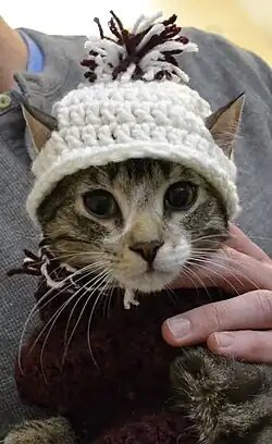 Crochet
