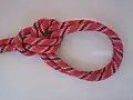 Bowline on a bight