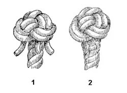 Wall and crown knot