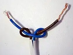 Underwriter's knot