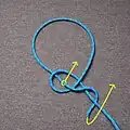 Fiador knot