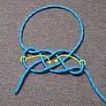 Fiador knot
