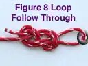 Figure-eight loop