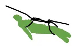 Fireman's chair knot