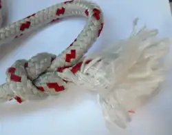 Whipping knot