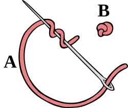 Knotted stitch