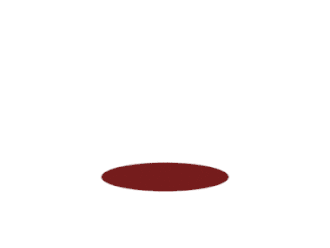 Burau representation