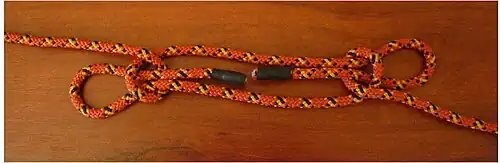 Sheepshank