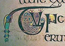 Celtic knot