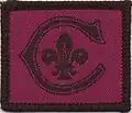 Cornwell Scout Badge