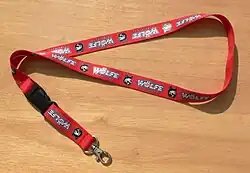 Lanyard