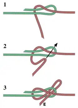 Lapp knot