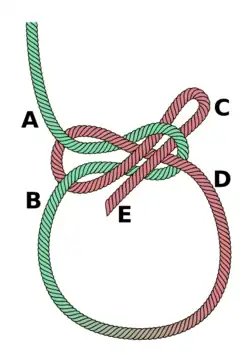 Lapp knot