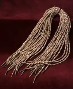 Aiguillette