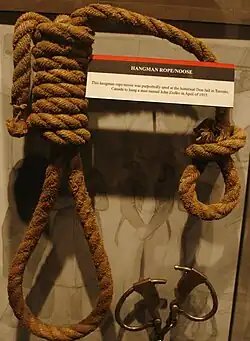 Hangman's knot