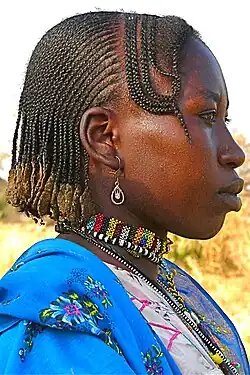 Cornrows