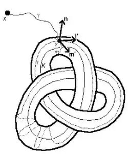 Peripheral subgroup