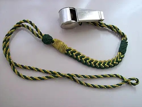 Lanyard