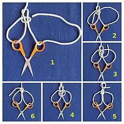 Rigid double splayed loop in the bight