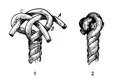 Wall and crown knot