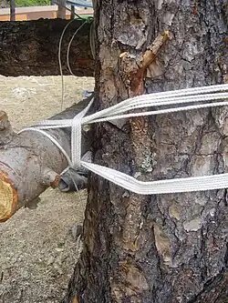 Lashing (ropework)