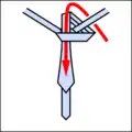 Half-Windsor knot