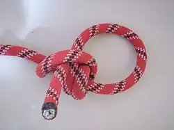 Hitch (knot)