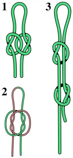 True lover's knot