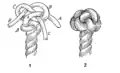 Wall crowned(unfinished "wall and crown knot")