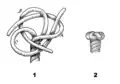 Wall and crown knot