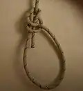Complete the knot