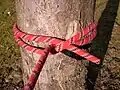 Hitch (knot)