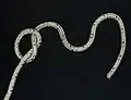 Tying a jamming false Zeppelin loop using the noose method: One starts with an underhand knot
